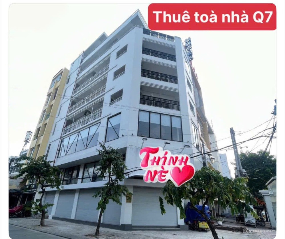 Bất động sản tại TP. Hồ Chí Minh - ảnh 1