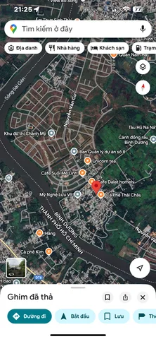 Bất động sản tại Bình Dương - ảnh 1