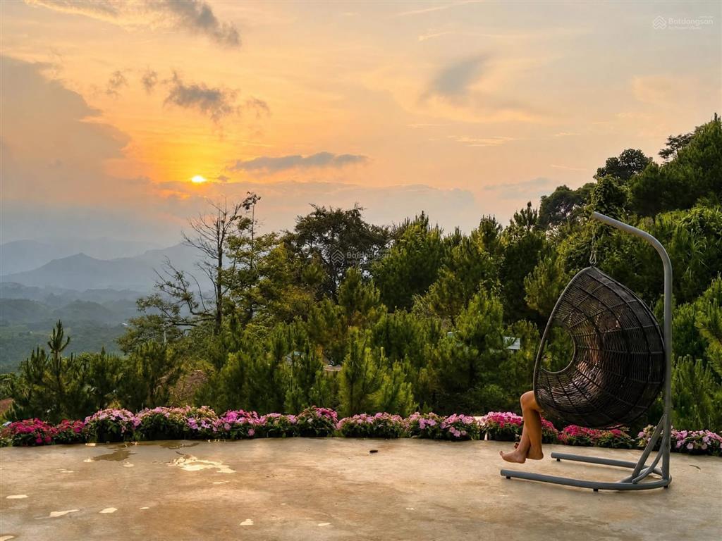 Bất động sản tại Lâm Đồng - ảnh 1