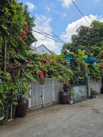 Bất động sản tại TP. Hồ Chí Minh - ảnh 1