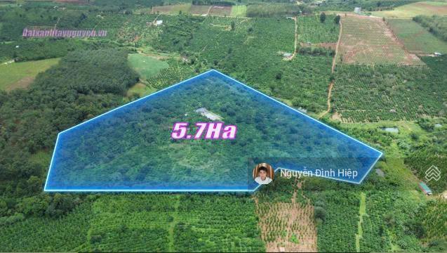 Bất động sản tại Đắk Nông - ảnh 1
