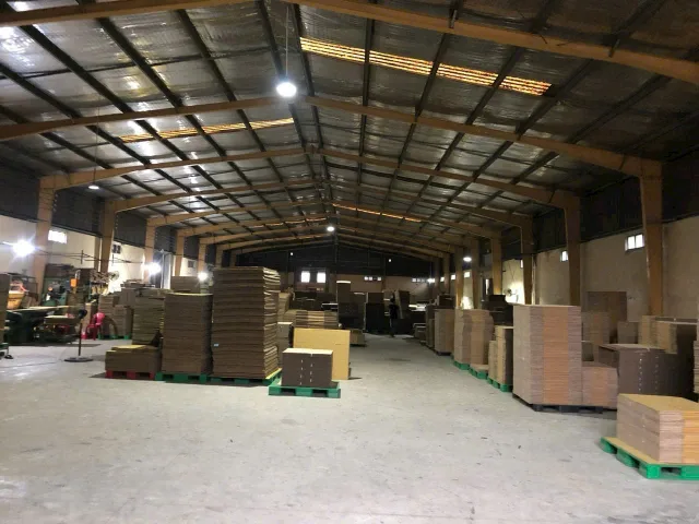 Bất động sản tại Bình Dương - ảnh 1