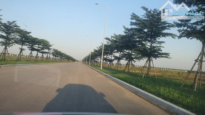 Bất động sản tại Nam Định - ảnh 1