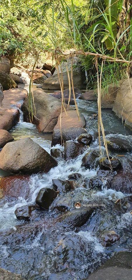 Bất động sản tại Đắk Nông - ảnh 1