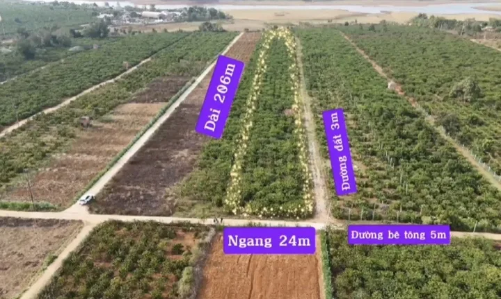Bất động sản tại Gia Lai - ảnh 1