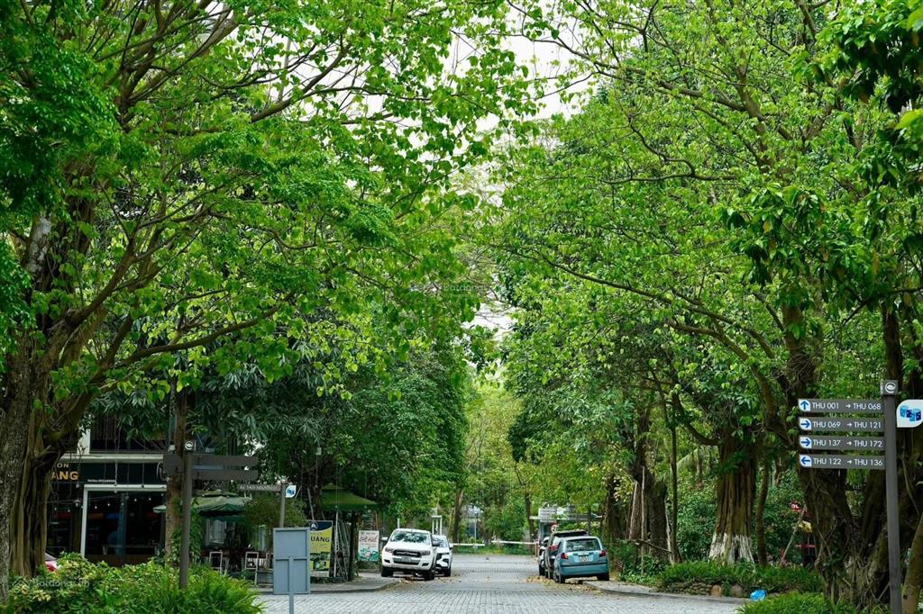 Bất động sản tại Hưng Yên - ảnh 1