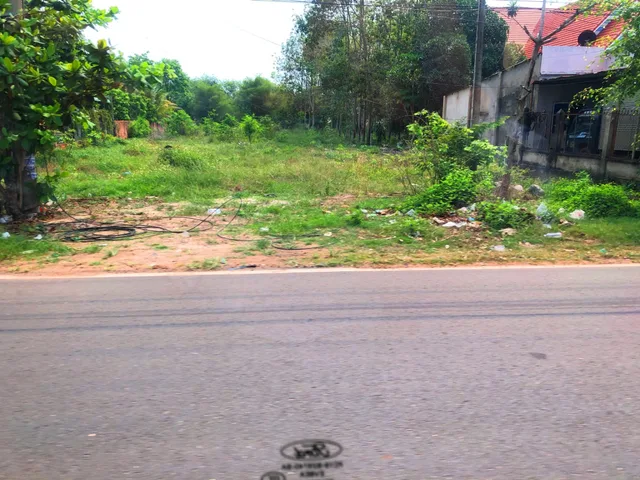 Bất động sản tại Bình Dương - ảnh 1