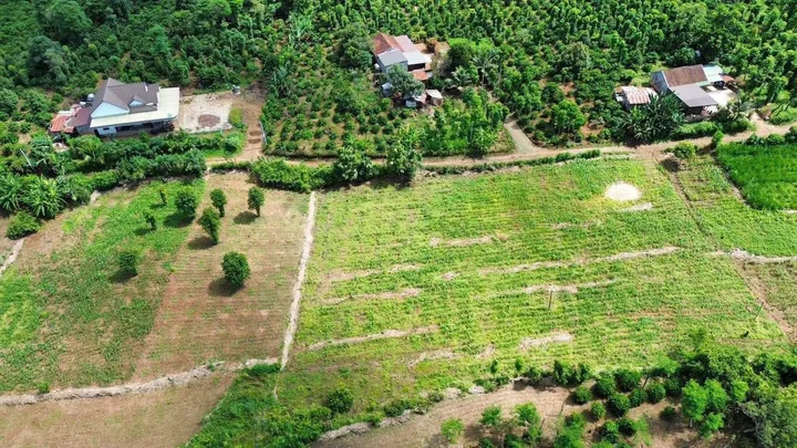 Bất động sản tại Đắk Lắk - ảnh 1