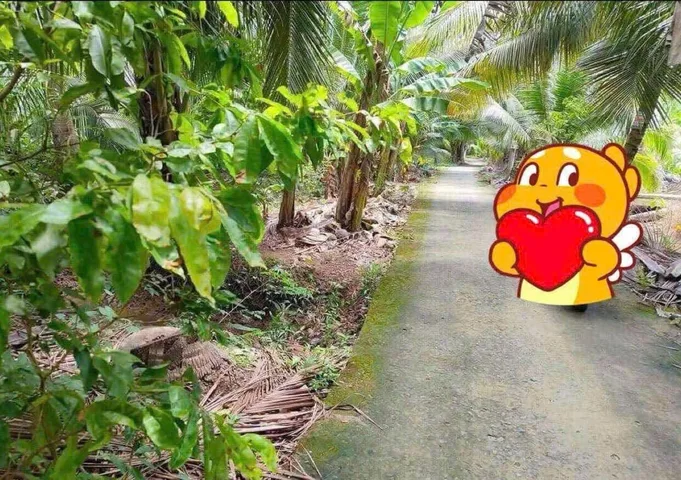Bất động sản tại Vĩnh Long - ảnh 1