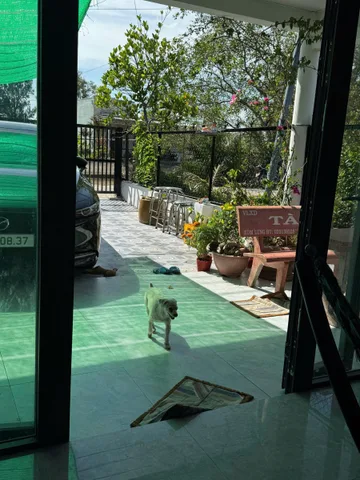 Bất động sản tại Cà Mau - ảnh 1