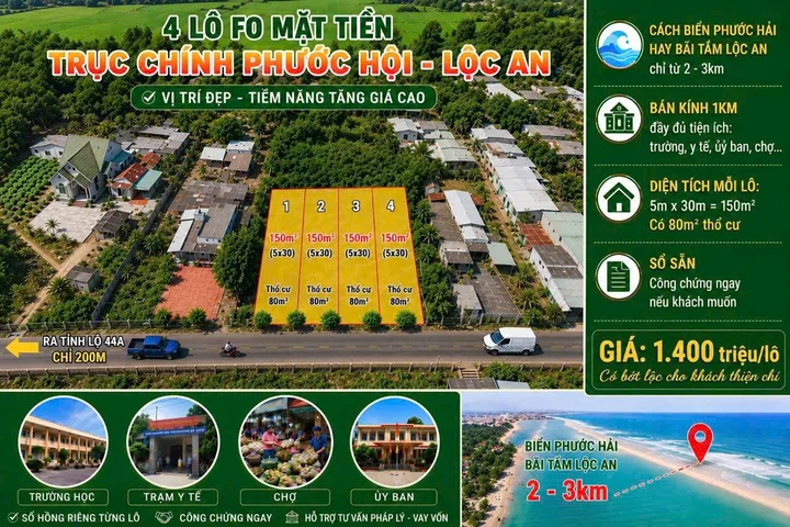 Bất động sản tại TP. Hồ Chí Minh - ảnh 1