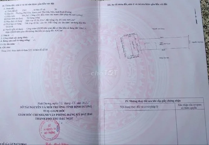Bất động sản tại Bình Dương - ảnh 1