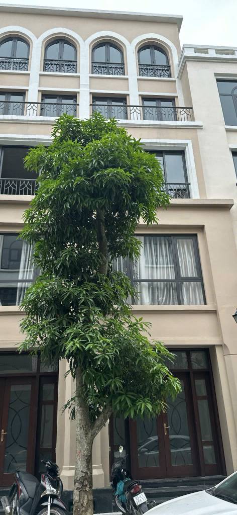 Bất động sản tại Hưng Yên - ảnh 1