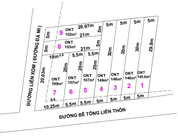 Bất động sản tại Khánh Hòa - ảnh 1