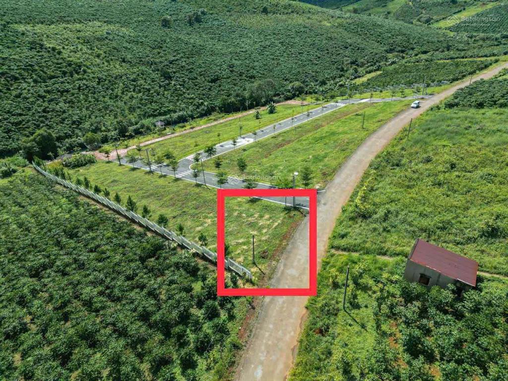 Bất động sản tại Lâm Đồng - ảnh 1