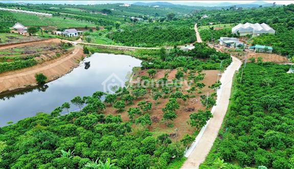 Bất động sản tại Lâm Đồng - ảnh 1
