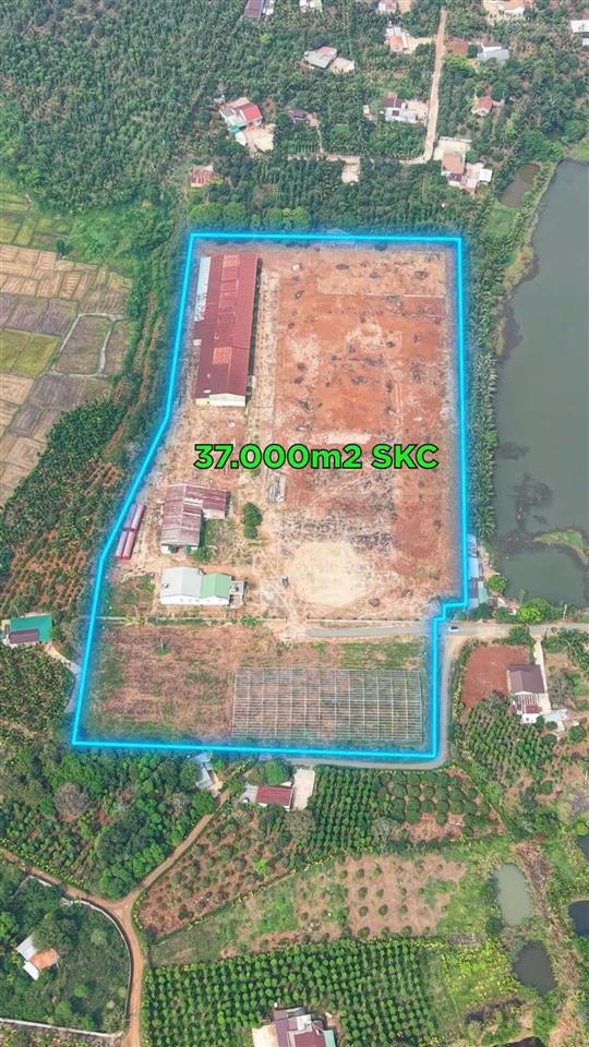 Bất động sản tại Đắk Lắk - ảnh 1