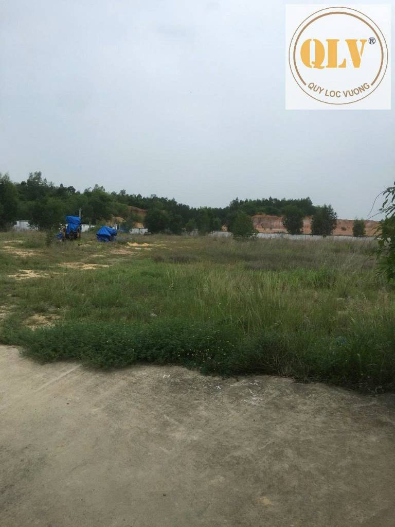 Bất động sản tại Bình Dương - ảnh 1