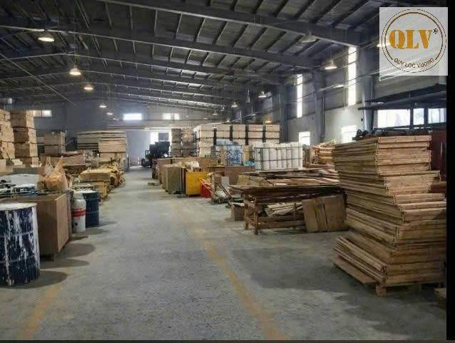 Bất động sản tại Bình Dương - ảnh 1