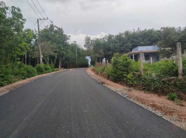 Bất động sản tại Bình Dương - ảnh 1
