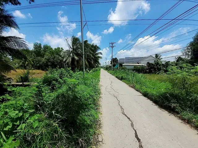 Bất động sản tại Long An - ảnh 1