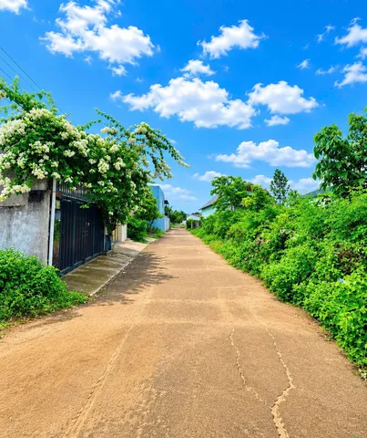 Bất động sản tại Đắk Lắk - ảnh 1