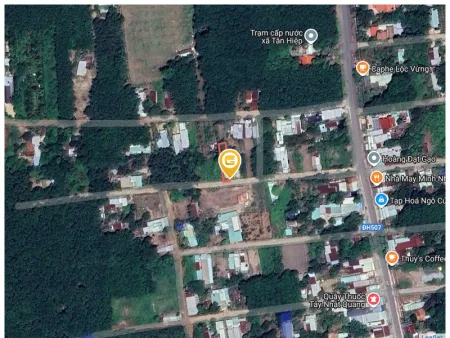 Bất động sản tại Bình Dương - ảnh 1