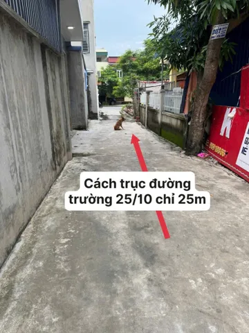 Bất động sản tại Hải Phòng - ảnh 1