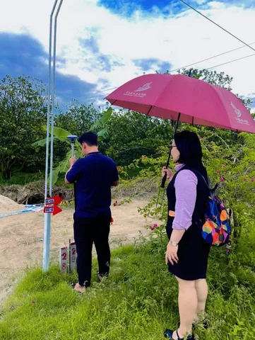 Bất động sản tại TP. Hồ Chí Minh - ảnh 1