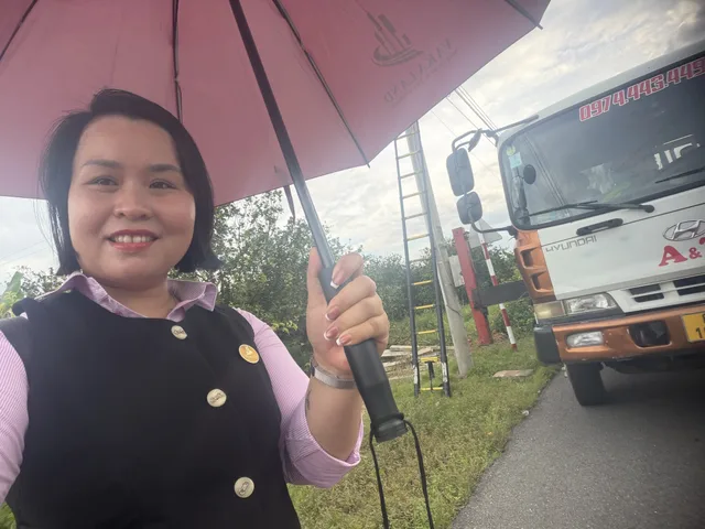 Bất động sản tại TP. Hồ Chí Minh - ảnh 3