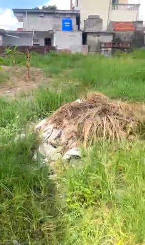 Bất động sản tại Hải Phòng - ảnh 1