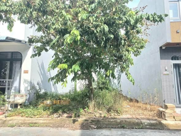 Bất động sản tại Cần Thơ - ảnh 1