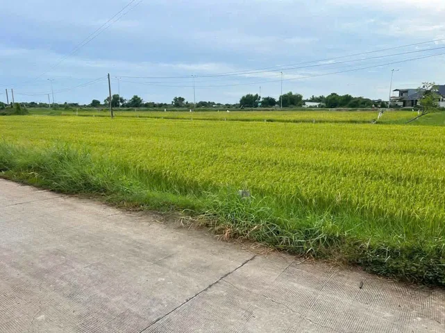 Bất động sản tại Tây Ninh - ảnh 1