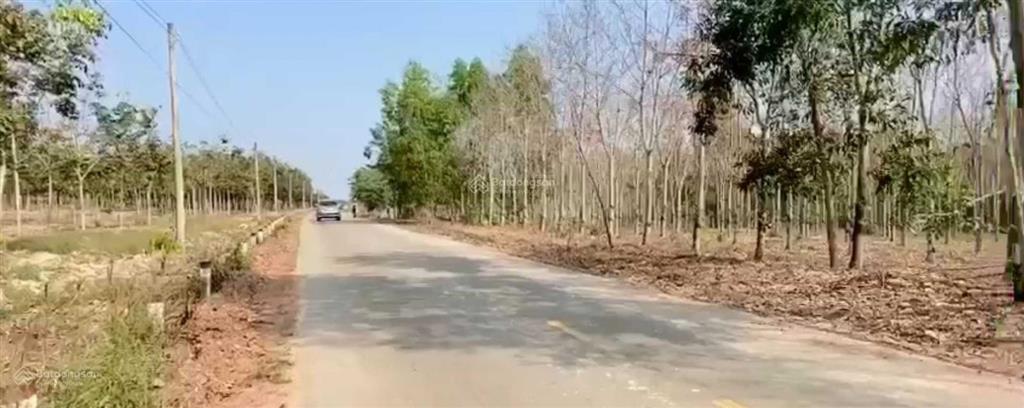 Bất động sản tại Bình Dương - ảnh 1