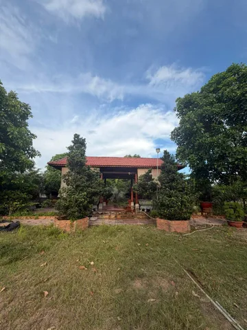 Bất động sản tại Long An - ảnh 1