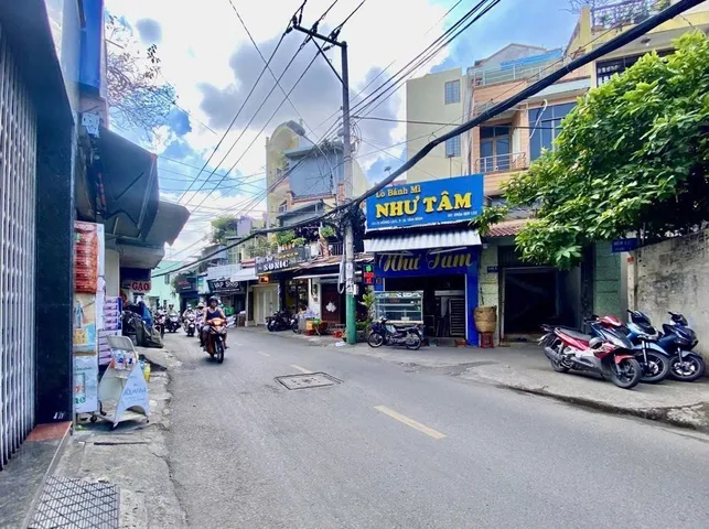 Bất động sản tại TP. Hồ Chí Minh - ảnh 1