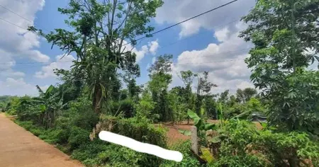 Bất động sản tại Đắk Lắk - ảnh 1
