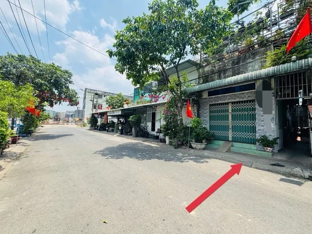 Bất động sản tại Bình Dương - ảnh 1