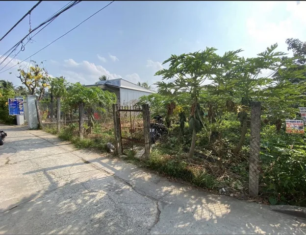 Bất động sản tại Tiền Giang - ảnh 1