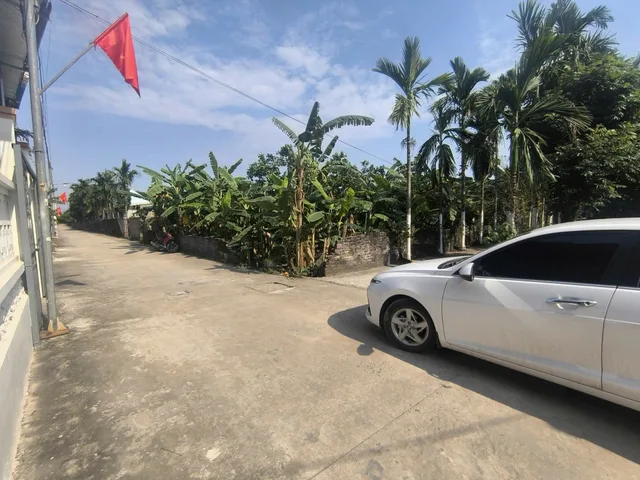 Bất động sản tại Hưng Yên - ảnh 1