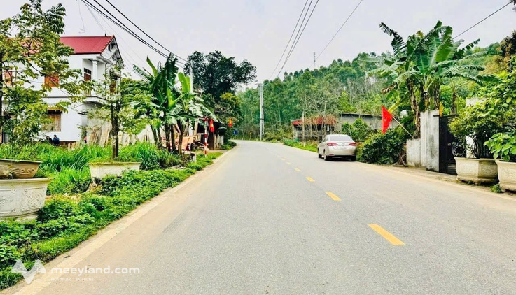 Bất động sản tại Vĩnh Phúc - ảnh 1
