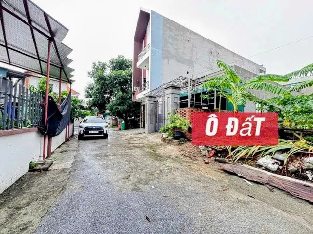 Bất động sản tại Phú Thọ - ảnh 1