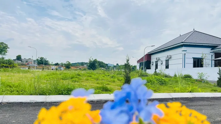Bất động sản tại Phú Thọ - ảnh 1