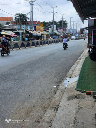 Bất động sản tại Long An - ảnh 1