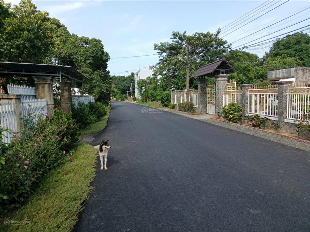 Bất động sản tại Bà Rịa - Vũng Tàu - ảnh 1