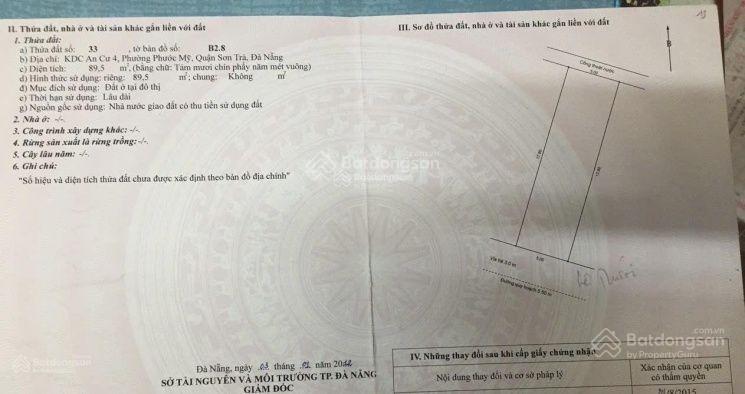Bất động sản tại Đà Nẵng - ảnh 1