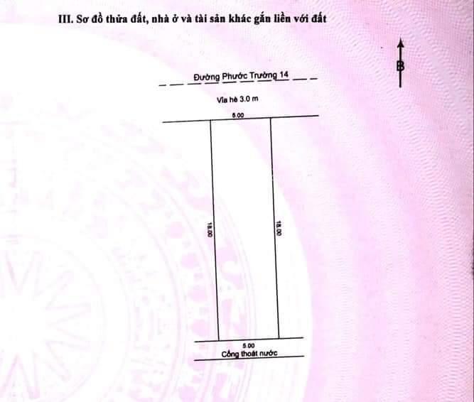 Bất động sản tại Đà Nẵng - ảnh 1