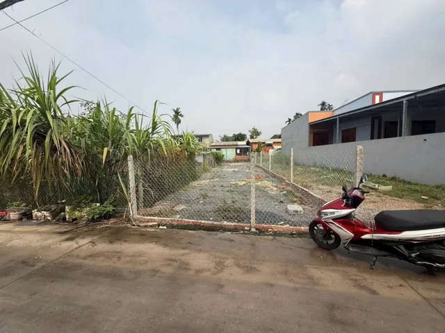 Bất động sản tại Bình Dương - ảnh 1