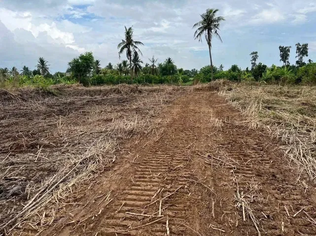 Bất động sản tại Tây Ninh - ảnh 1