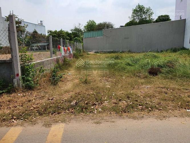 Bất động sản tại Tây Ninh - ảnh 1